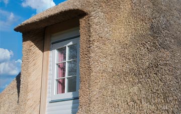Padney thatch roof disadvantages