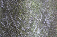 Padney fibreglass roof work