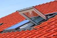 Padney roof window