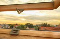 rated Padney roof window companies